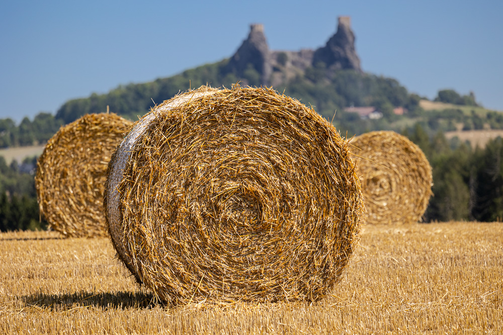 Platz 9 Josef Schafnitzel